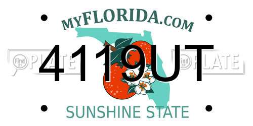 4119UT Florida License Plate