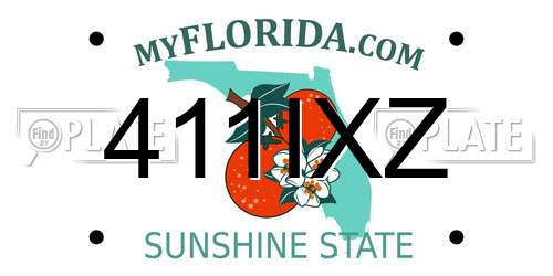 411IXZ Florida License Plate