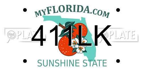 411LK Florida License Plate