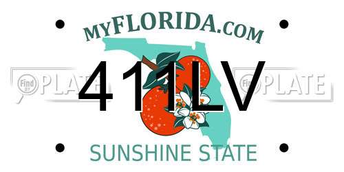 411LV Florida License Plate
