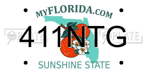 411NTG Florida License Plate