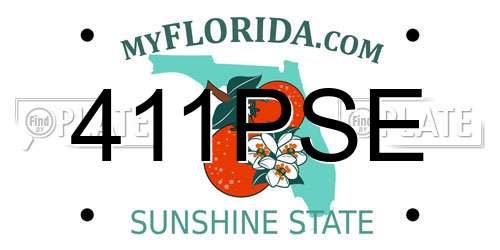 411PSE Florida License Plate