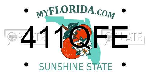 411QFE Florida License Plate
