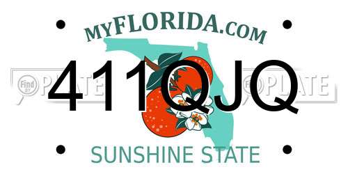 411QJQ Florida License Plate