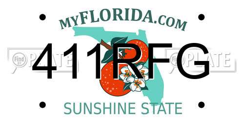 411RFG Florida License Plate