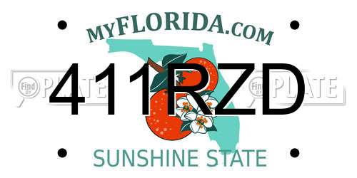 411RZD Florida License Plate