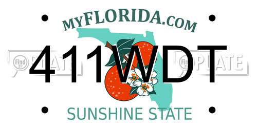 411WDT Florida License Plate
