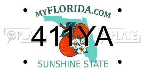 411YA Florida License Plate
