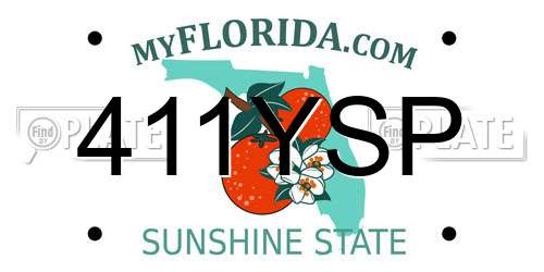 411YSP Florida License Plate