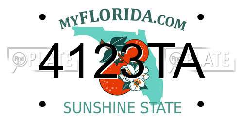 4123TA Florida License Plate