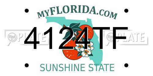 4124TF Florida License Plate