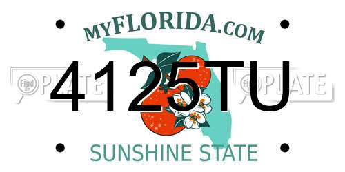 4125TU Florida License Plate