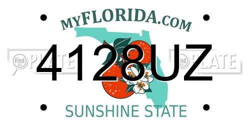 4128UZ Florida License Plate