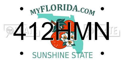 412HMN Florida License Plate