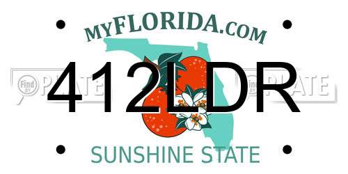 412LDR Florida License Plate