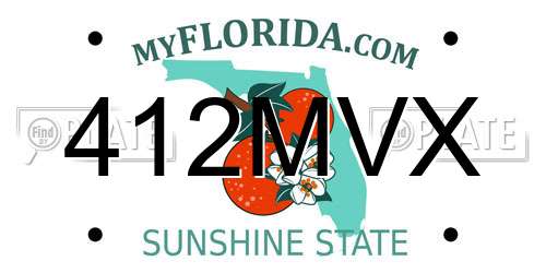 412MVX Florida License Plate