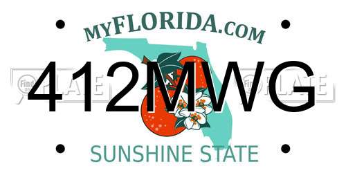 412MWG Florida License Plate