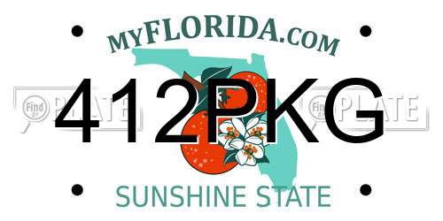 412PKG Florida License Plate