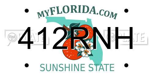 412RNH Florida License Plate