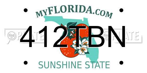 412TBN Florida License Plate
