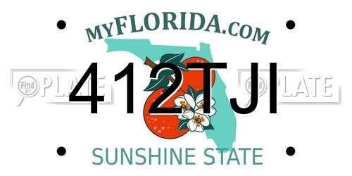412TJI Florida License Plate