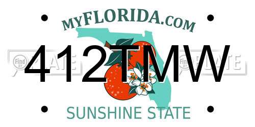412TMW Florida License Plate