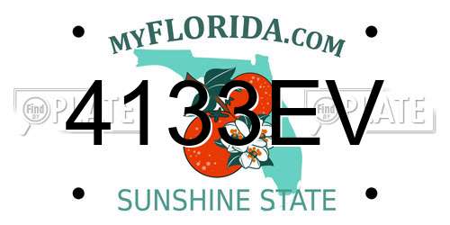 4133EV Florida License Plate