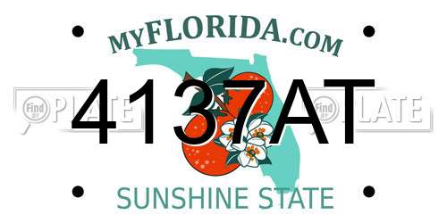 4137AT Florida License Plate