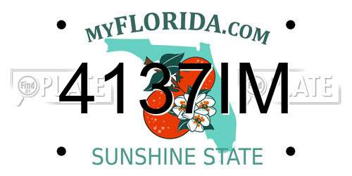 4137IM Florida License Plate