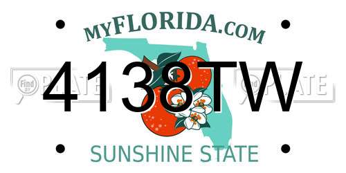 4138TW Florida License Plate