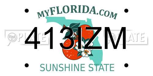 413IZM Florida License Plate