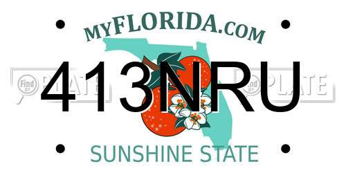 413NRU Florida License Plate