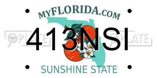 413NSI Florida License Plate