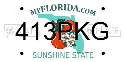 413PKG Florida License Plate