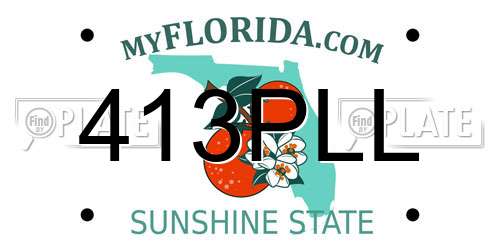 413PLL Florida License Plate