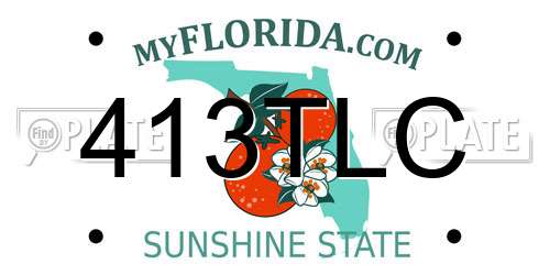 413TLC Florida License Plate
