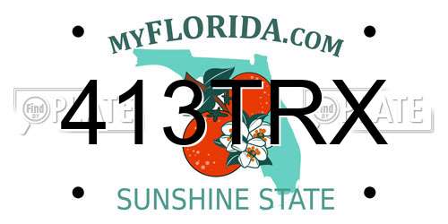 413TRX Florida License Plate