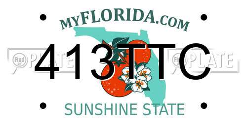 413TTC Florida License Plate