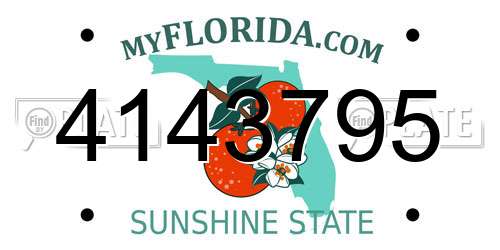 4143795 Florida License Plate