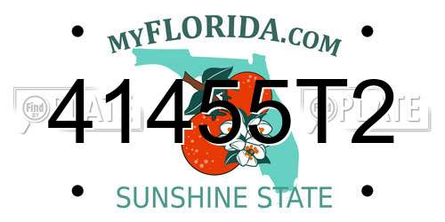 41455T2 Florida License Plate