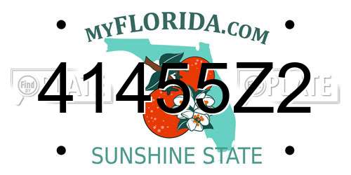 41455Z2 Florida License Plate