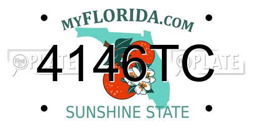 4146TC Florida License Plate