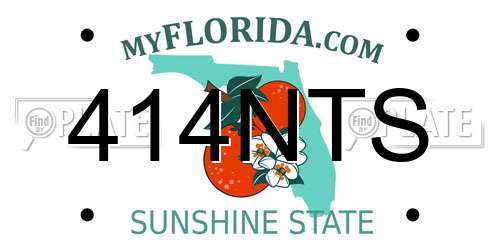 414NTS Florida License Plate