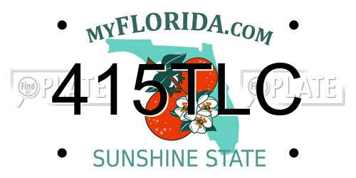 415TLC Florida License Plate