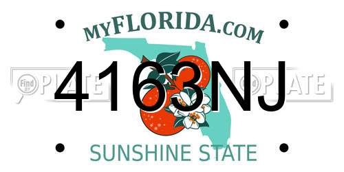 4163NJ Florida License Plate
