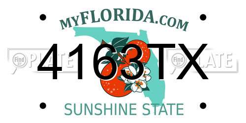 4163TX Florida License Plate