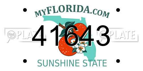 41643 Florida License Plate