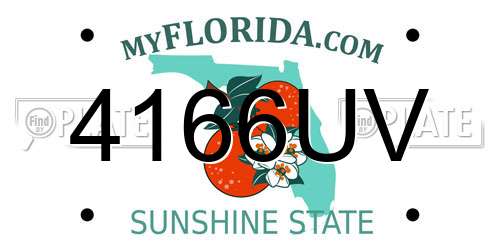 4166UV Florida License Plate