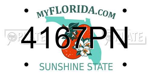 4167PN Florida License Plate