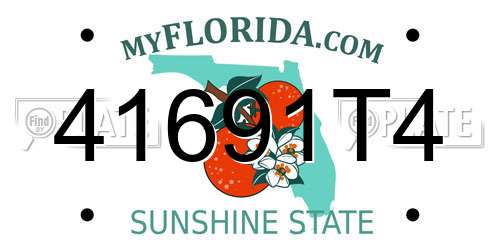 41691T4 Florida License Plate